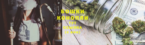 сатива Бронницы