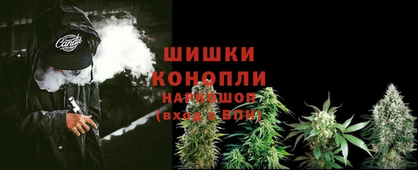сатива Бронницы