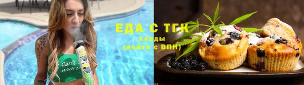 тгк Бородино