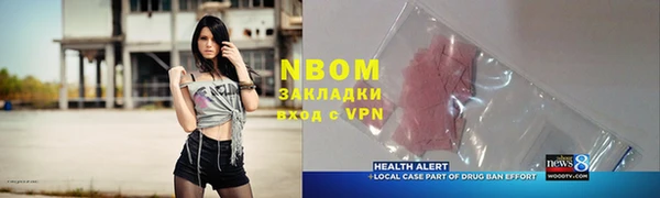 сатива Бронницы