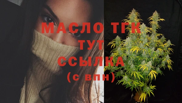 тгк Бородино