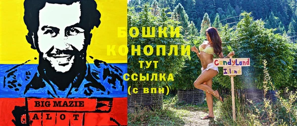 тгк Бородино