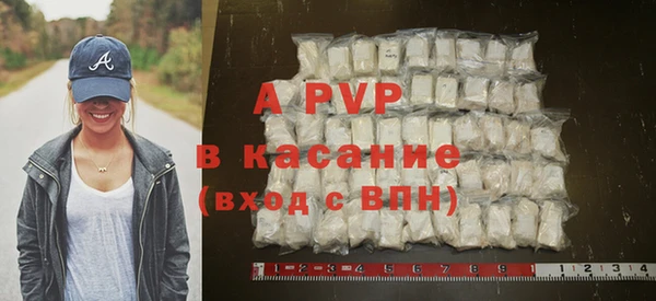 тгк Бородино